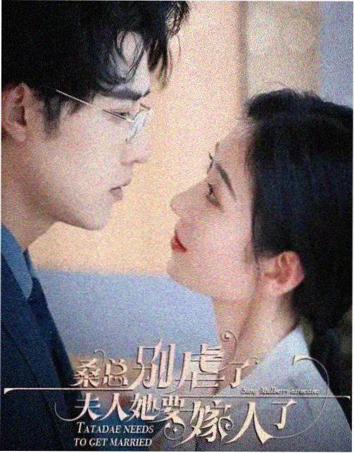 不眠航线刑侦剧免费在线观看